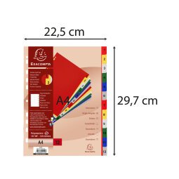 Tabbladen met bedrukte tabs in gekleurde PP - 12 tabs - 1 tot 12 - A4 - Geassorteerde felle kleuren
