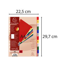 Intercalaires imprimés numériques polypropylène 12/100e - 12 positions - A4 - Assorties vives