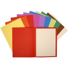 Pk 100 Sq. Folders Flash 220g Ast