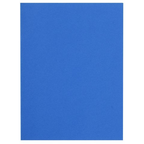 Paquete de 100 SubCarpetas Exacompta Forever 100% reciclado FLASH 220 - Azul oscuro