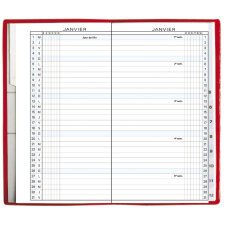 Recharge Agenda de poche Exaplan 16 9 x 16 cm Planning mensuel Janvier à décembre 2025