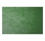 Chemise à élastiques Maxi Capacity, A4, tilleul