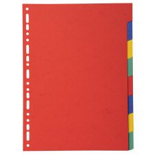 Dividers 8 Pt Recycled Card brights - Bright colours assorted