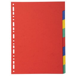 Tabbladen gerecycleerd karton 220g - 8 tabs - A4 - Geassorteerde felle kleuren