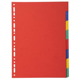 Dividers 8 Pt Recycled Card brights - Bright colours assorted