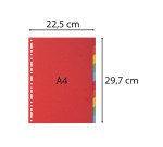 Intercalaire A4 carte lustrée colorée Exacompta 12 onglets neutres multicolores - 1 jeu