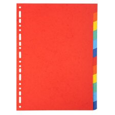 Div Forever Divider A4 220g 12P Bright - Assorted colours