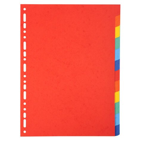 Div Forever Divider A4 220g 12P Bright - Assorted colours