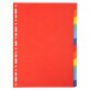 Div Forever Divider A4 220g 12P Bright - Assorted colours