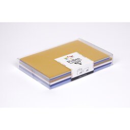 Coffret Pollen de 20 enveloppes C6 (114x162mm) + 20 cartes simples 110x155mm - Noël polaire - Assortiment