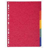 Div Forever Divider A4+ 220g 5P Bright - Assorted colours