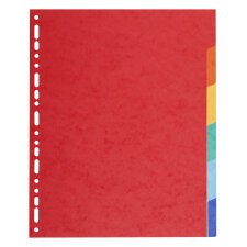 Div Forever Divider A4+ 220g 6P Vivid - Assorted colours