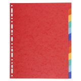 Div Forever Divider A4+ 220g 12P Vivid - Assorted colours