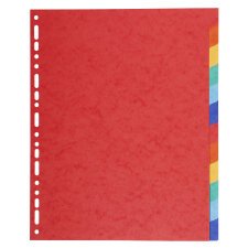 Div Forever Divider A4+ 220g 12P Vivid - Assorted colours