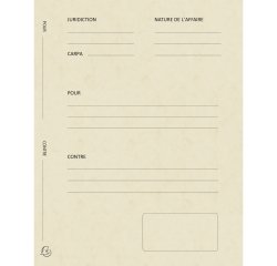 Packet of 25 pre-printed pleading folders Exacompta - 25x32 - color