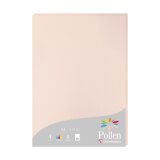 Etui de 25 feuilles Pollen 210x297mm 210g/m2 - Opaline