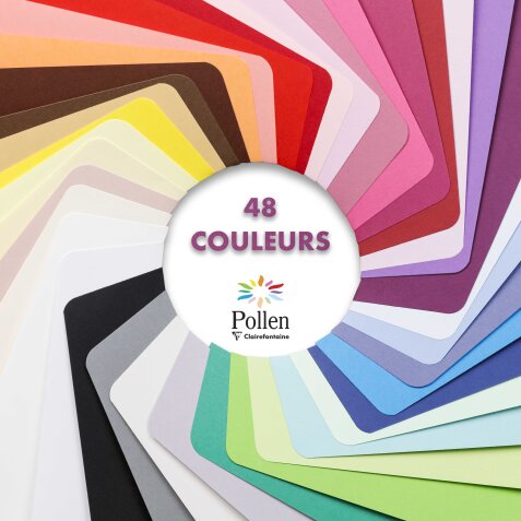 Sachet de 5 cartes pliées Pollen 110x155 210g/m2