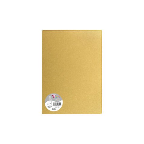 Paquet de 5 feuilles Pollen 210x297mm 120g/m2 - Or