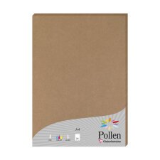 Etui de 25 feuilles Pollen 210x297 210g/m2 - Kraft