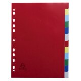 Divider Lightweight PP A4 12P ColouRed - Assorted colours