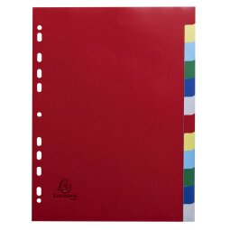 Divider Lightweight PP A4 12P ColouRed - Assorted colours
