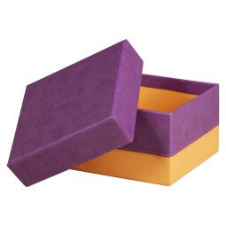 Rhodiarama set 5 boîtes gigognes simili cuir italien 44x34x16 cm - Violet