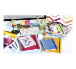 Cahier spirale Clairefontaine Proactiv'Book Linicolor Fesh 22,5 x 29,7 cm assorti aléatoire grands carreaux avec cadre en-tête-160 pages