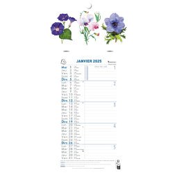 Calendrier mensuel Fleurs avec feuillets détachables 15,5 x 28,5 cm sur support plaque imprimée 19 x 41 cm 2025 - Visuels assortis