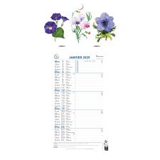 Calendrier mensuel Fleurs avec feuillets détachables 13 x 23 cm sur support plaque imprimée 16 x 33 cm 2025 - Visuels assortis