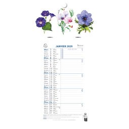 Maandkalender met afscheurbare vellen 13 x 23 cm op gedrukte plaat 16 x 33 cm 2025 - Assorti visuals