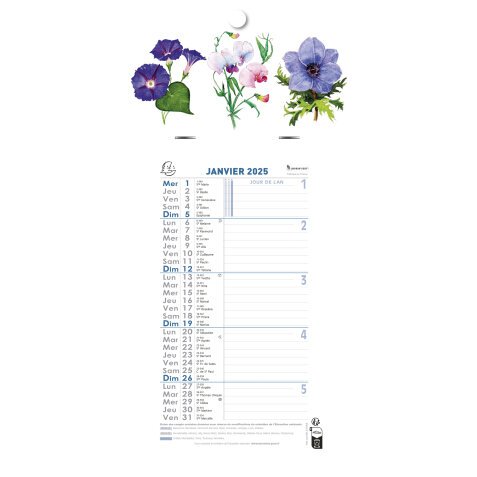 Calendrier mensuel Fleurs avec feuillets détachables 13 x 23 cm sur support plaque imprimée 16 x 33 cm 2025 - Visuels assortis