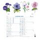 Calendrier mensuel Fleurs avec feuillets détachables 24 x 18 cm agrafé sur plaque cartonnée imprimée 27,5 x 30,5 cm 2025 - Visuels assortis