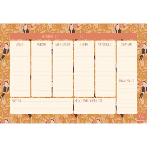 Hebdo Planner Color Design Toucan 26,5 x 18 cm - Visuel