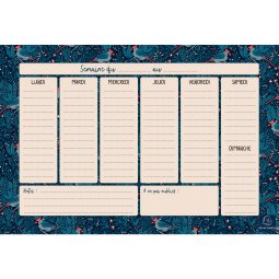 Hebdo Planner Color Design 26,5 x 18 cm - Bleu