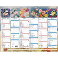 Calendrier Sophie Adde avec illustrations 29,5 x 22 cm Semestriel 2025