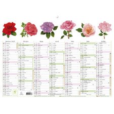 Kalender Bloemen met illustraties 29,5 x 22 cm Halfjaarlijks 2025