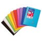 Carnet reliure intégrale enveloppante Koverbook A5 160 pages petits carreaux couverture polypropylène transparent - Assortis