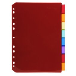 Divider Translucent PP A4 8P ColouRed - Assorted colours