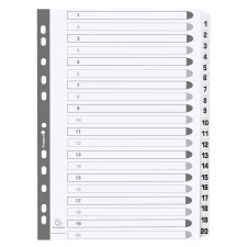 Div Mylar Dividers A4 White 1-20 - White