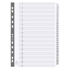 Div Mylar Dividers A4 White 1-31 - White