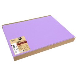 Box of 100 spunbond placemats, plain - Format 30x40cm