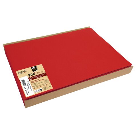 Barquette de 100 sets de table spundbond, unis - Format 30x40cm