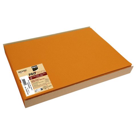 Conf. 100 Tovagliette monouso in tessuto non tessuto Spunbond 30x40cm