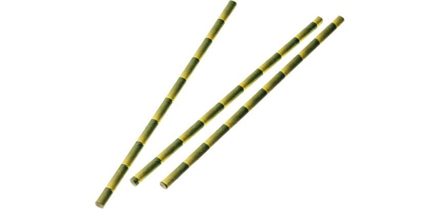 sachet de 250 pailles en papier 20 cm ø 6 mm décor bambou