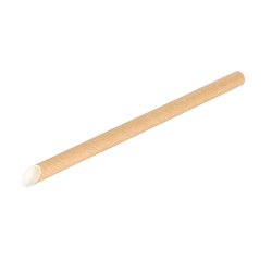 sachet de 100 pailles en papier 20 cm ø 12 mm biseautée kraft