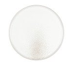 Evanescence assiette plate ø 26 cm