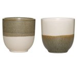 boîte de 12 tasses Bikolor panachées