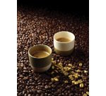 boîte de 12 tasses Bikolor panachées