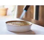Alexandrie assiette à crème brûlée ø 14 cm
