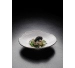 assiette organique petit bassin blanche